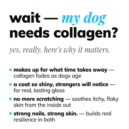 Liquid Collagen+ for Dogs