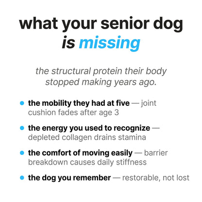 Pawly Liquid Collagen for Senior Dogs