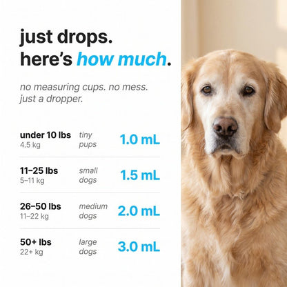 Pawly Liquid Collagen for Senior Dogs
