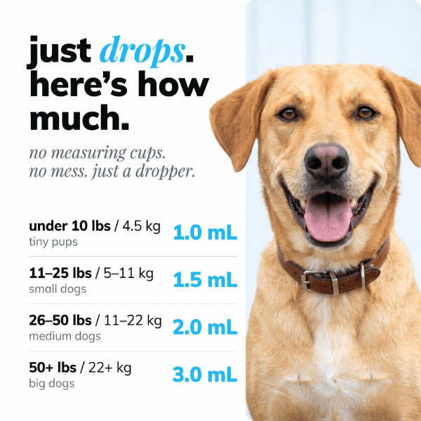Liquid Collagen+ for Dogs