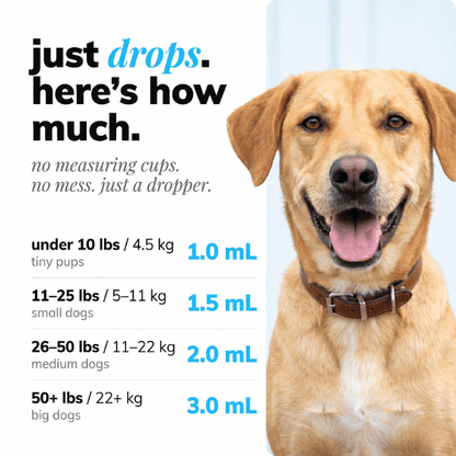 Liquid Collagen+ for Dogs