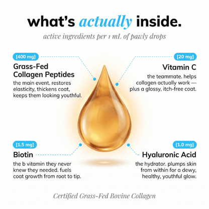 Liquid Collagen+ for Dogs