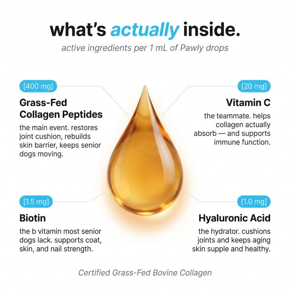 Pawly Liquid Collagen for Senior Dogs