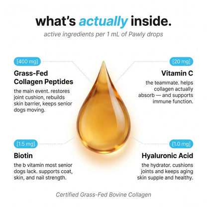 Pawly Liquid Collagen for Senior Dogs