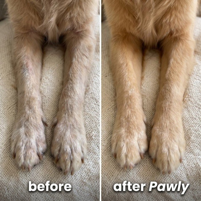 Pawly Liquid Collagen for Senior Dogs