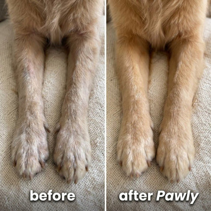 Pawly Liquid Collagen for Senior Dogs