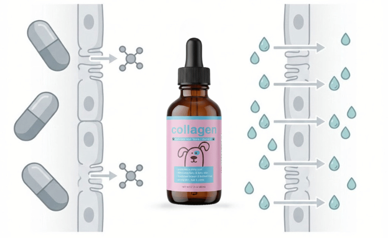 Pawly 5-in-1 Liquid Collagen+ for Dogs