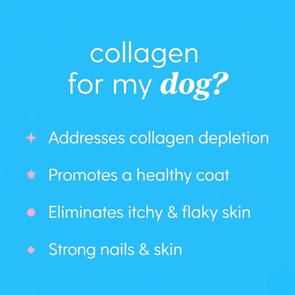 5-in-1 Liquid Collagen+ for Dogs™