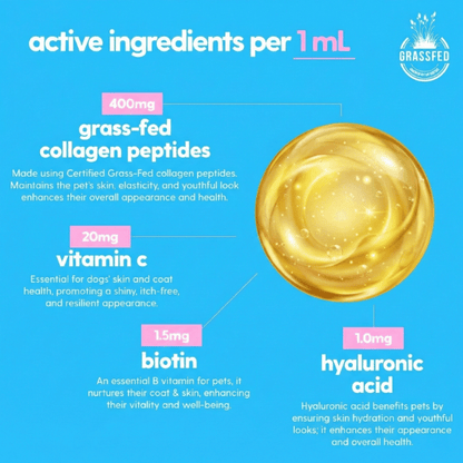 5-in-1 Liquid Collagen+ for Dogs™