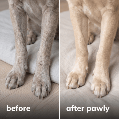 Liquid Collagen+ for Dogs