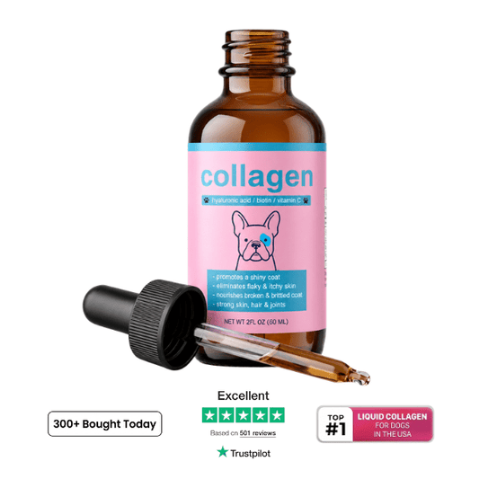 Liquid Collagen+ for Dogs