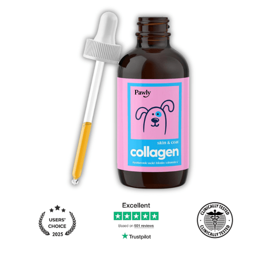 Pawly - Liquid Collagen+ for Dogs™