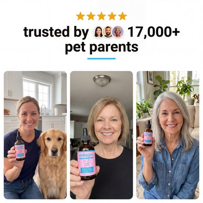 Pawly Liquid Collagen for Senior Dogs