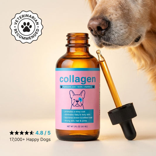 Liquid Collagen+ for Dogs